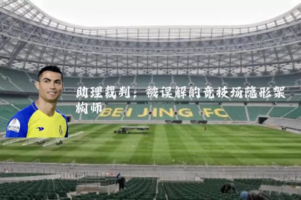 助理裁判：被误解的竞技场隐形架构师